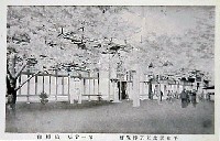平和記念東京博覧会-絵葉書-175