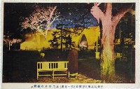 平和記念東京博覧会-絵葉書-342