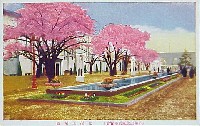 平和記念東京博覧会-絵葉書-82