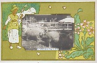 畜産工芸博覧会-絵葉書-4