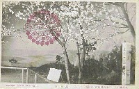 奠都50年記念博覧会-絵葉書-48