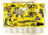第5回内国勧業博覧会-図版-6