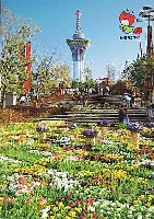 国際花と緑の博覧会-絵葉書-30