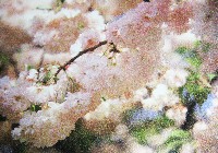 国際花と緑の博覧会-絵葉書-47