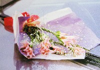 国際花と緑の博覧会-絵葉書-48