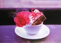 国際花と緑の博覧会-絵葉書-50
