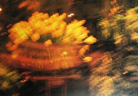 国際花と緑の博覧会-絵葉書-54