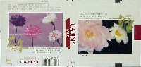 国際花と緑の博覧会-たばこ-12