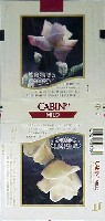 国際花と緑の博覧会-たばこ-18