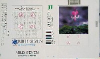 国際花と緑の博覧会-たばこ-9