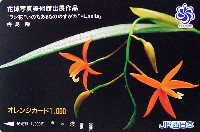 国際花と緑の博覧会-テレフォンカード-23