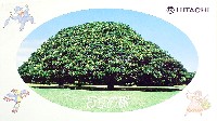 国際花と緑の博覧会-テーマソング-1