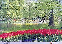 国際花と緑の博覧会-記念品･一般-49