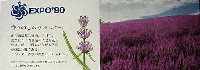 国際花と緑の博覧会-記念品・一般-70