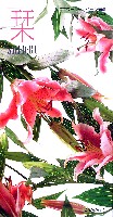 国際花と緑の博覧会-その他-254