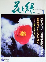 国際花と緑の博覧会-その他-35