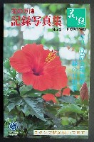 国際花と緑の博覧会-写真帳-5