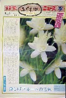 国際花と緑の博覧会-新聞-101