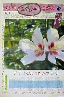 国際花と緑の博覧会-新聞-109