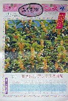 国際花と緑の博覧会-新聞-134