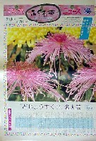 国際花と緑の博覧会-新聞-138