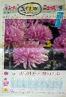 国際花と緑の博覧会-新聞-146