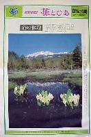 国際花と緑の博覧会-新聞-157