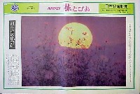 国際花と緑の博覧会-新聞-159