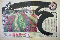 国際花と緑の博覧会-新聞-207