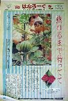 国際花と緑の博覧会-新聞-220