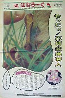 国際花と緑の博覧会-新聞-225