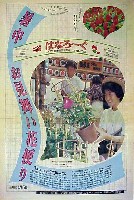 国際花と緑の博覧会-新聞-239