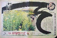 国際花と緑の博覧会-新聞-257