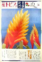 国際花と緑の博覧会-新聞-281