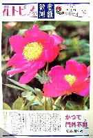国際花と緑の博覧会-新聞-285