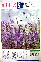 国際花と緑の博覧会-新聞-292