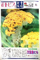 国際花と緑の博覧会-新聞-294