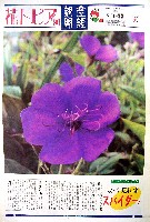 国際花と緑の博覧会-新聞-295