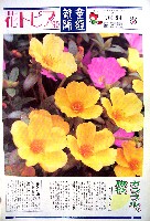 国際花と緑の博覧会-新聞-296