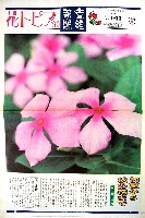 国際花と緑の博覧会-新聞-299