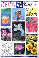 国際花と緑の博覧会-新聞-302