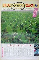国際花と緑の博覧会-新聞-31