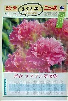 国際花と緑の博覧会-新聞-32