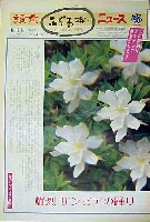 国際花と緑の博覧会-新聞-42