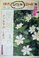 国際花と緑の博覧会-新聞-49