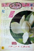 国際花と緑の博覧会-新聞-50