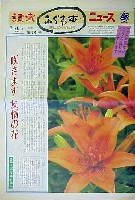 国際花と緑の博覧会-新聞-64