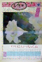 国際花と緑の博覧会-新聞-67