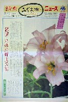 国際花と緑の博覧会-新聞-68