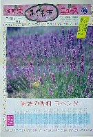 国際花と緑の博覧会-新聞-78